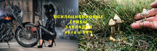 ешки Михайловка