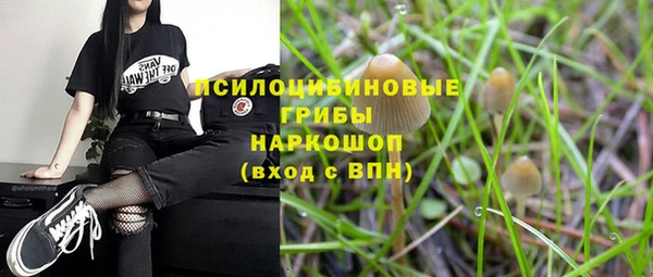 ешки Михайловка