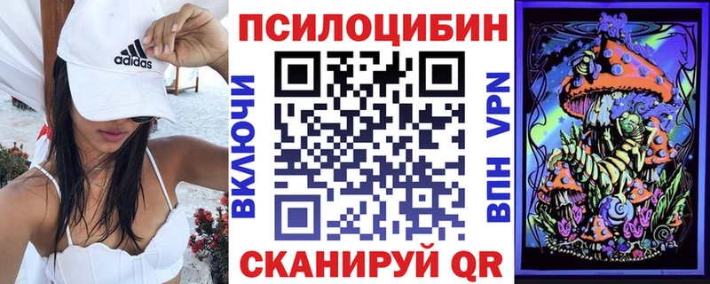 где купить наркоту Звенигово Псилоцибиновые грибы прущие грибы