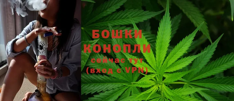 Бошки марихуана THC 21%  сколько стоит  Звенигово 